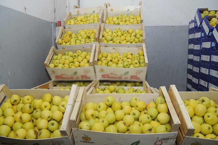 نظام مراقبة صارم للإنتاج الفلاحي من الحقول للتخزين