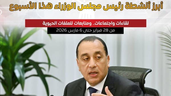 مصر تواجه التحديات الإقليمية بخطط استراتيجية محكمة